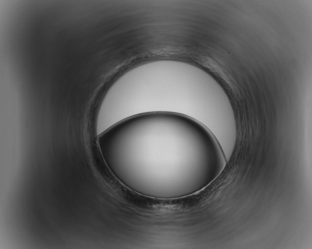 X0000094420448200711081002