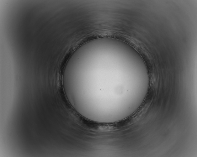 X0000094420470200711081002