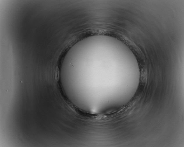 X0000094420474200711081002
