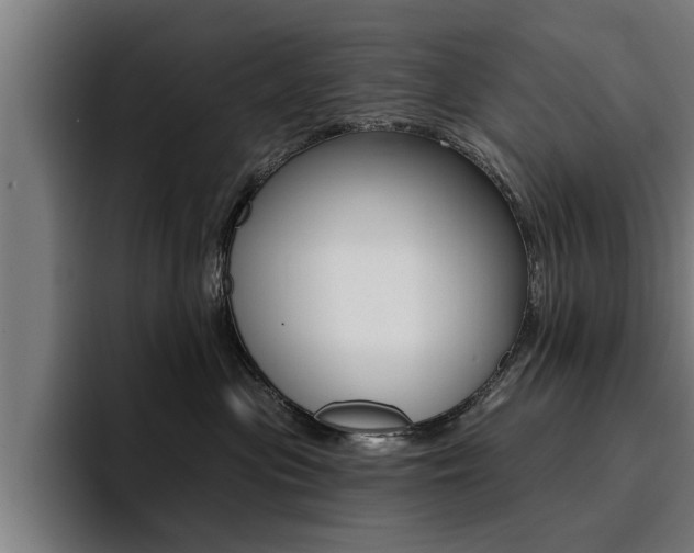 X0000094420477200711081002