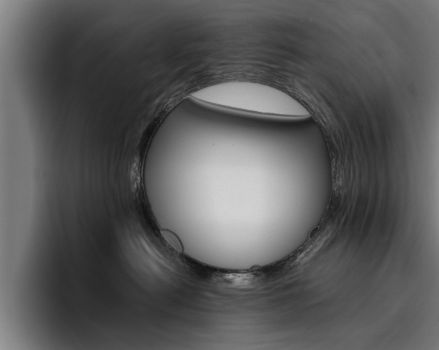 X0000094420478200711081002