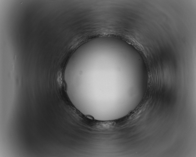 X0000094420479200711081002