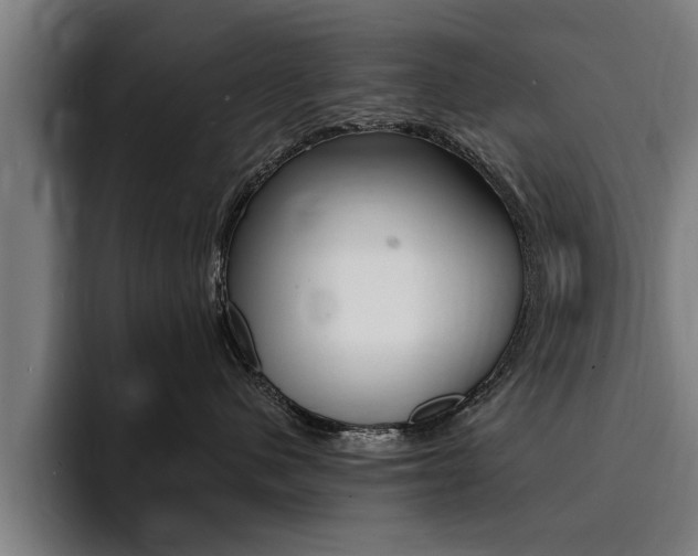 X0000094420480200711081002