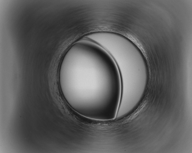 X0000094420481200711081002