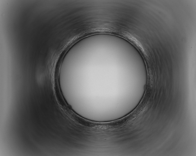 X0000094420482200711081002