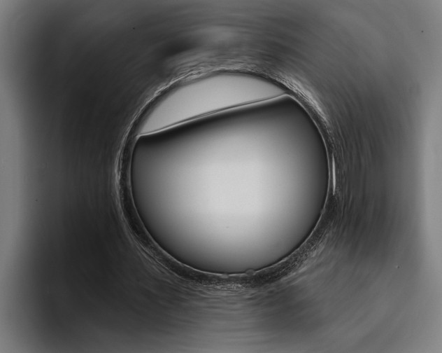 X0000094420483200711081002