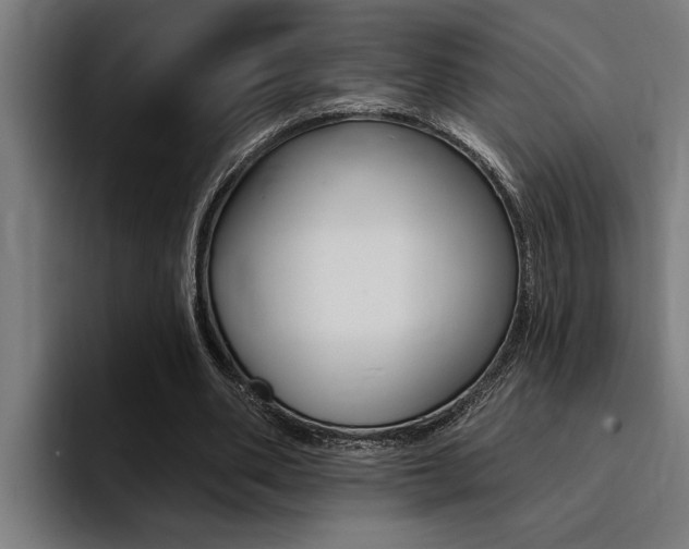 X0000094420486200711081002