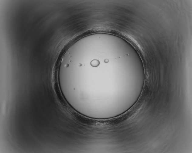 X0000094420487200711081002