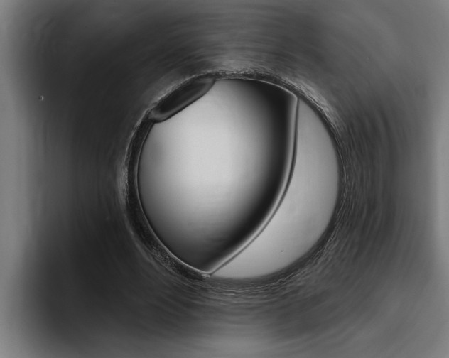 X0000094420488200711081002