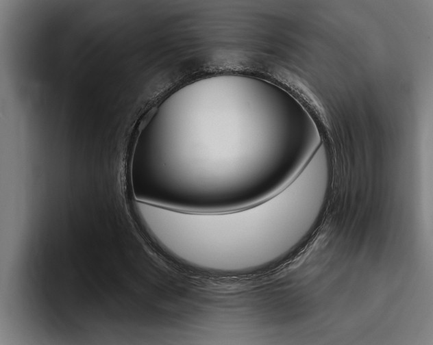X0000094420489200711081002