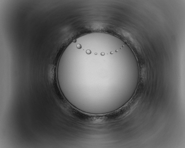 X0000094420495200711081001