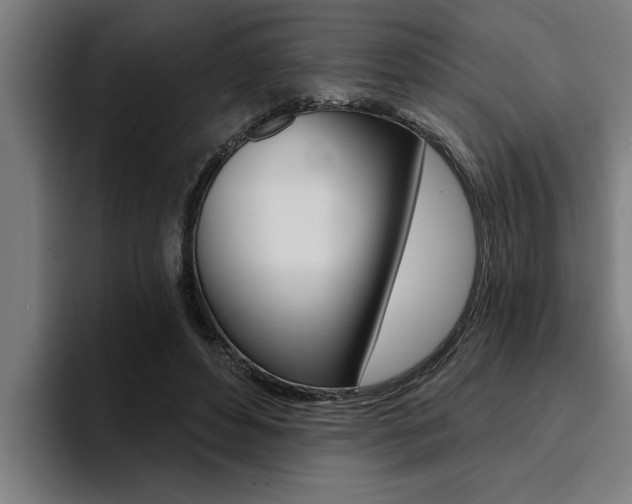 X0000094420496200711081001