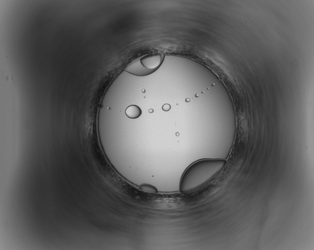 X0000094420499200711081001
