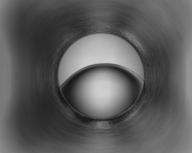 X0000094420501200711081001