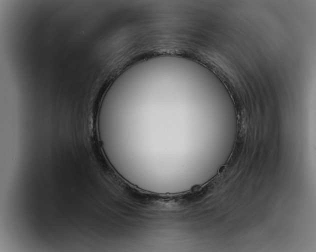 X0000094420502200711081001