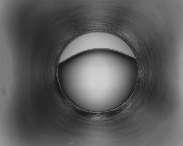 X0000094420504200711081001