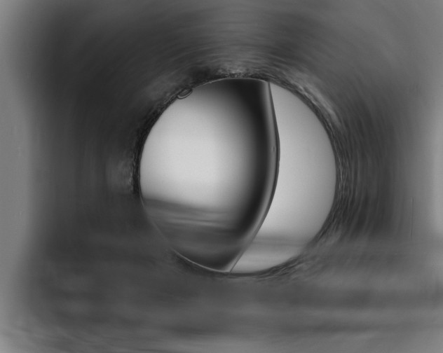 X0000094420505200711081001