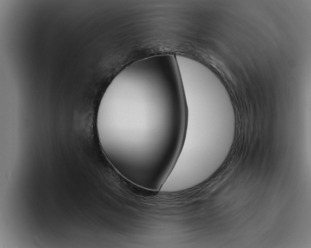 X0000094420509200711081001