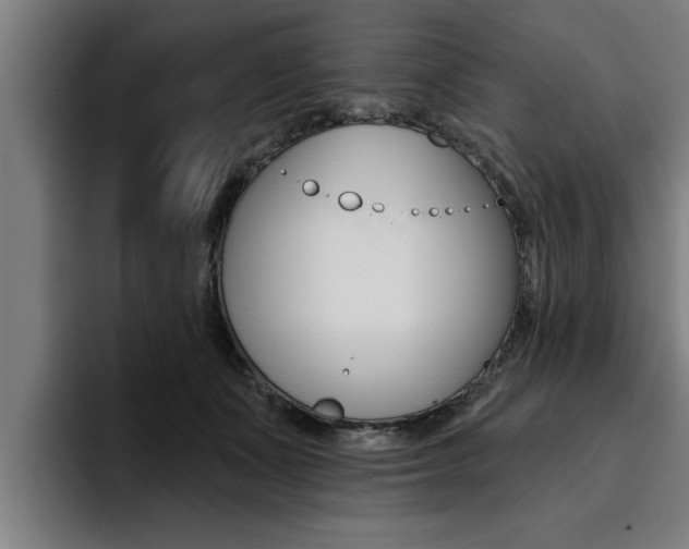 X0000094420511200711081001