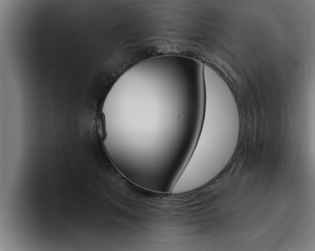 X0000094420513200711081001
