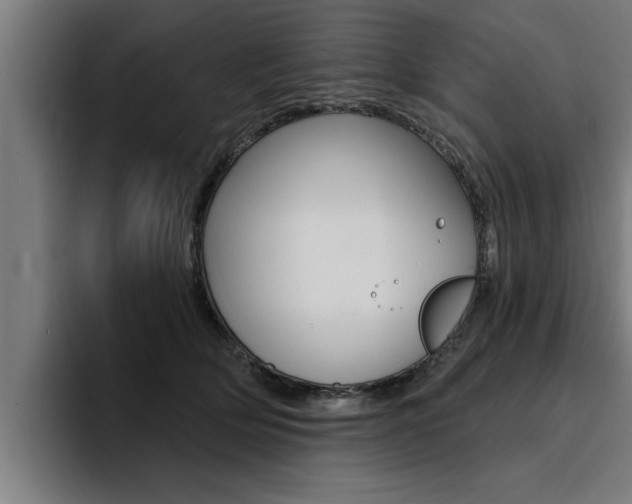 X0000094420514200711081001