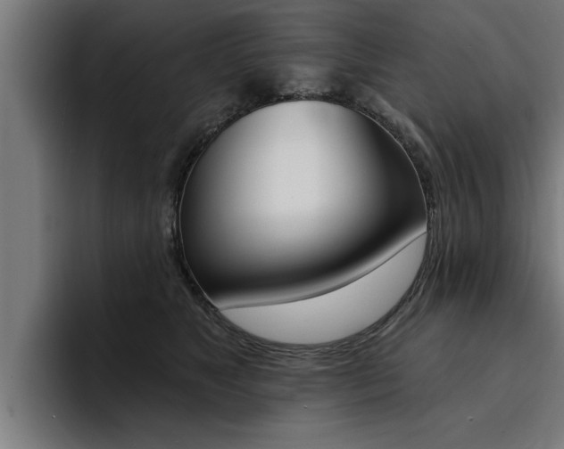 X0000094420517200711081001