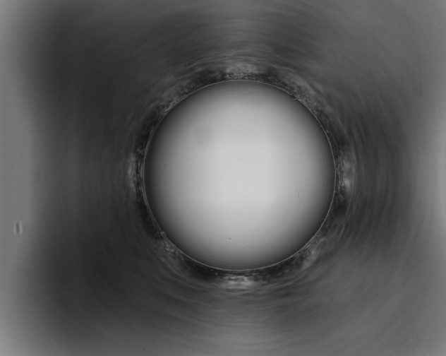 X0000094420519200711081001