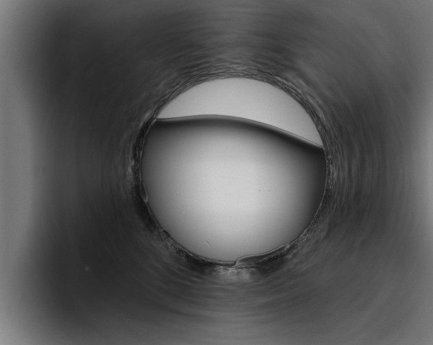 X0000094420520200711081001