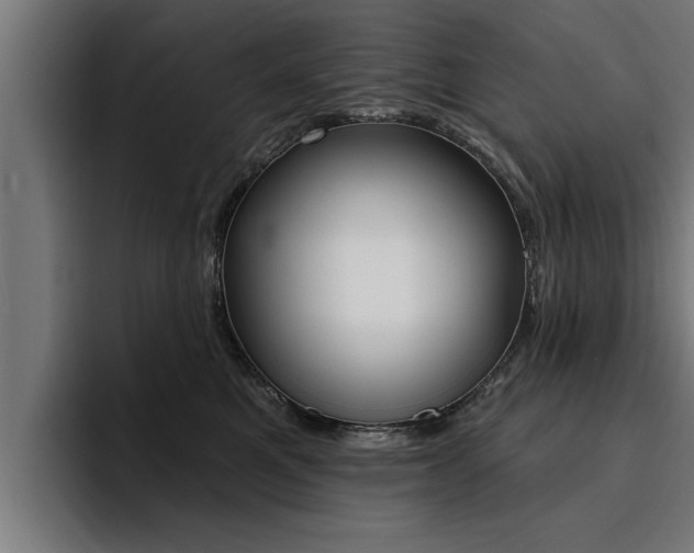 X0000094420521200711081001