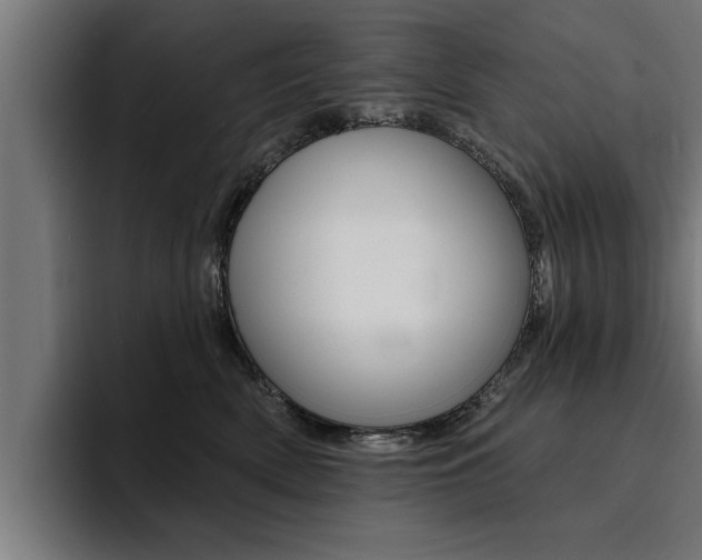 X0000094420522200711081001