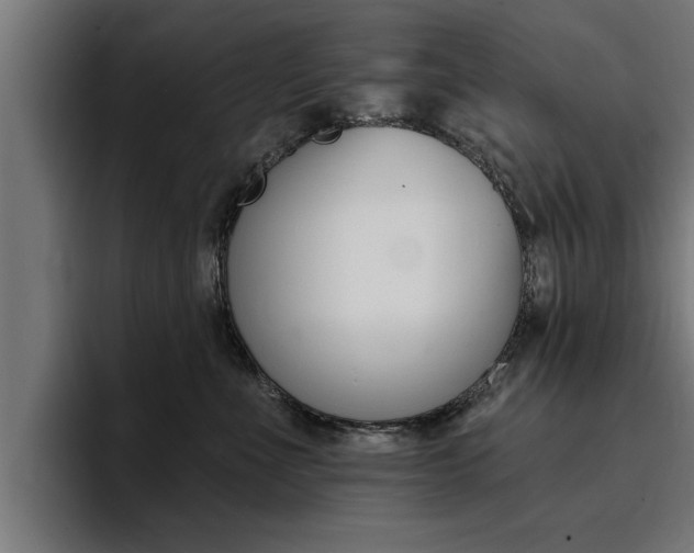 X0000094420523200711081001