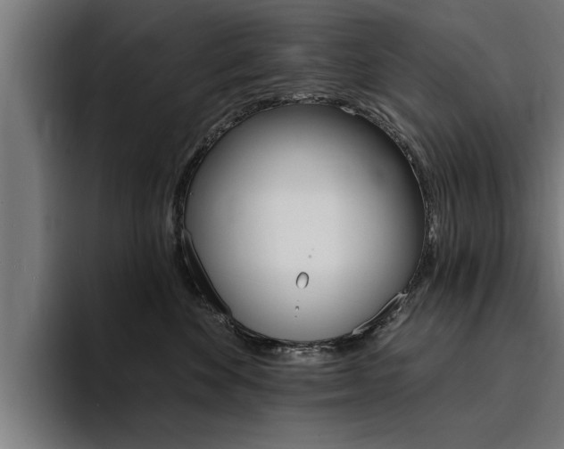 X0000094420524200711081001