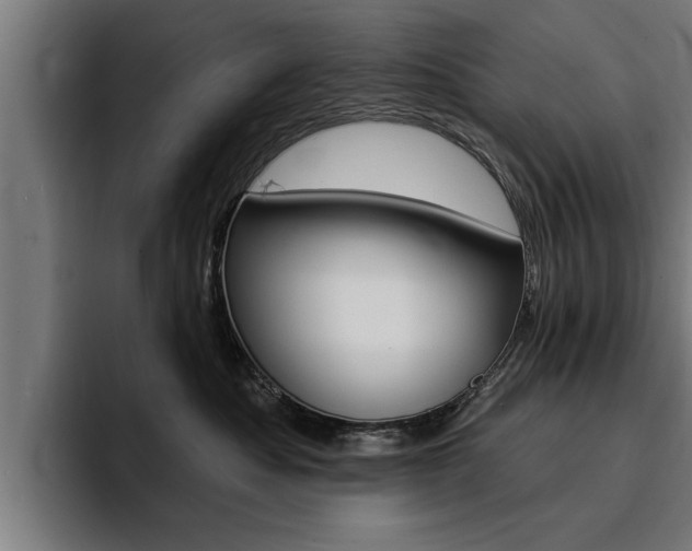 X0000094420525200711081001