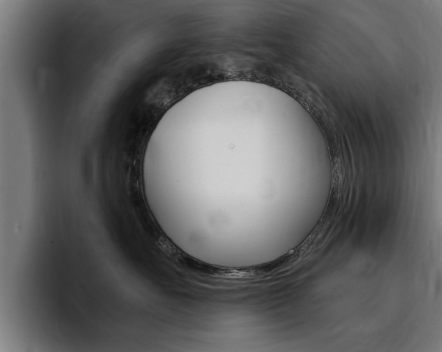 X0000094420527200711081001