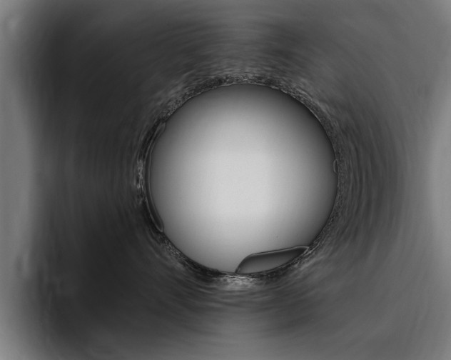 X0000094420528200711081001