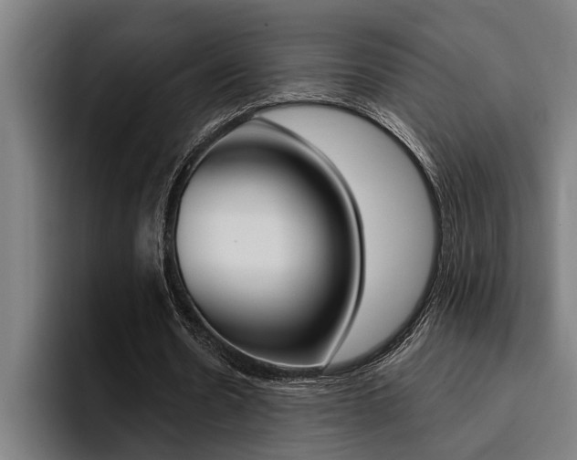 X0000094420530200711081000