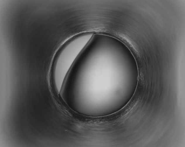 X0000094420532200711081000