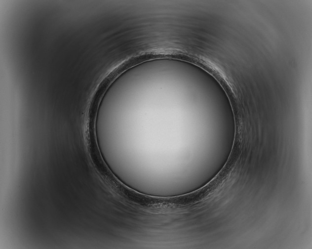 X0000094420535200711081001