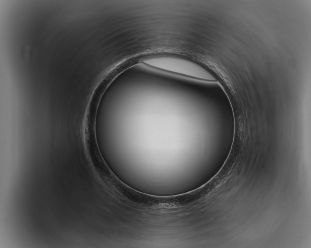 X0000094420536200711081001