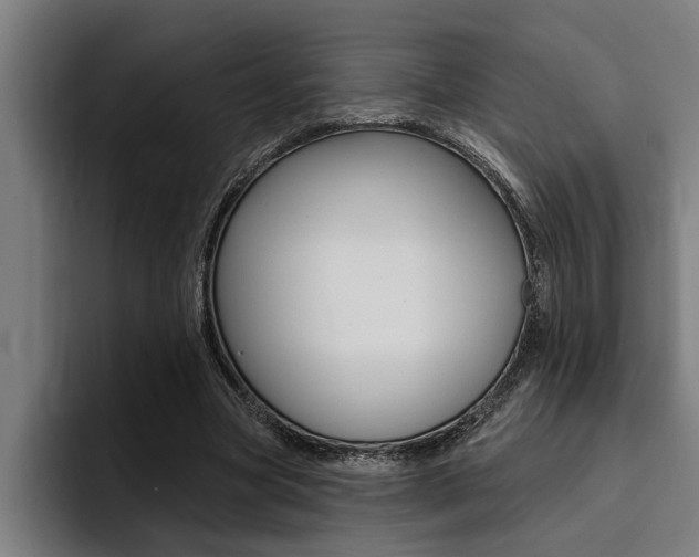 X0000094420537200711081001