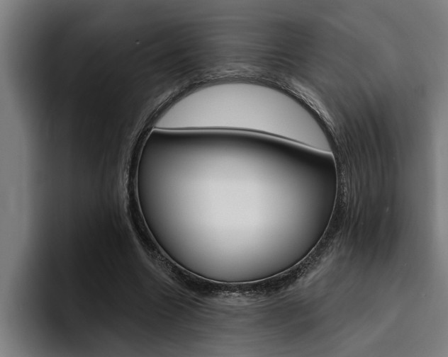 X0000094420538200711081001