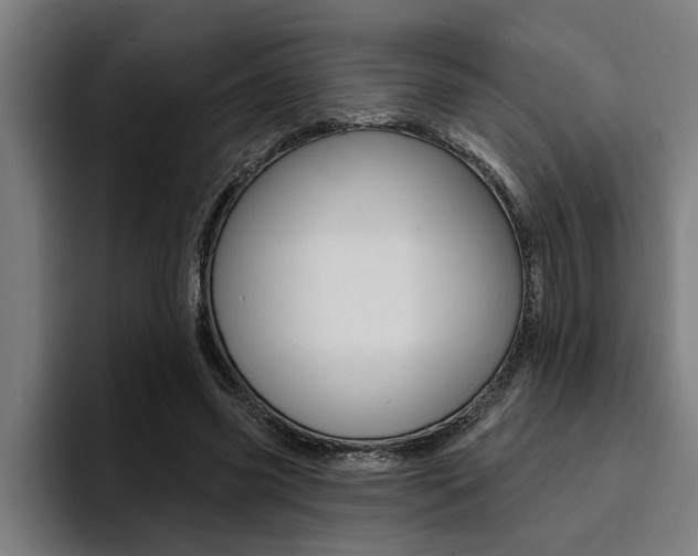 X0000094420541200711081001