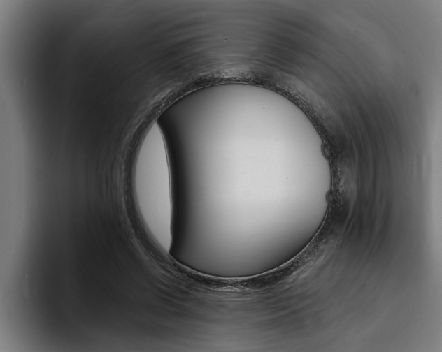 X0000094420542200711081001