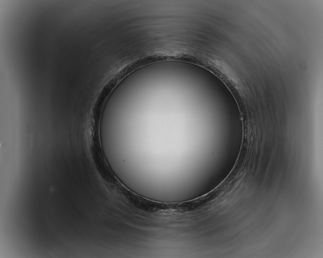 X0000094420544200711081001