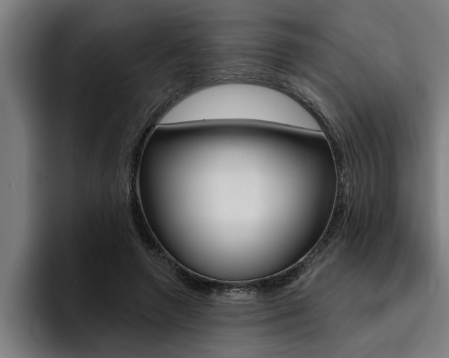 X0000094420546200711081001