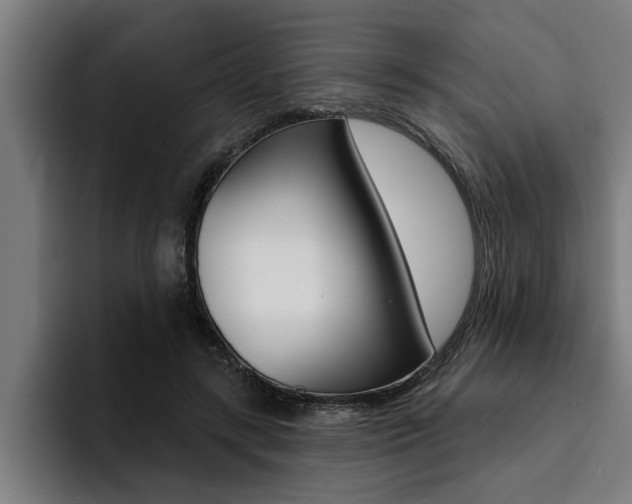 X0000094420547200711081001