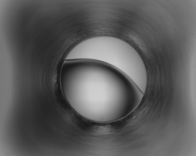 X0000094420548200711081001