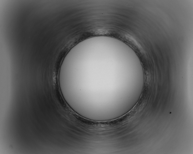 X0000094420549200711081001