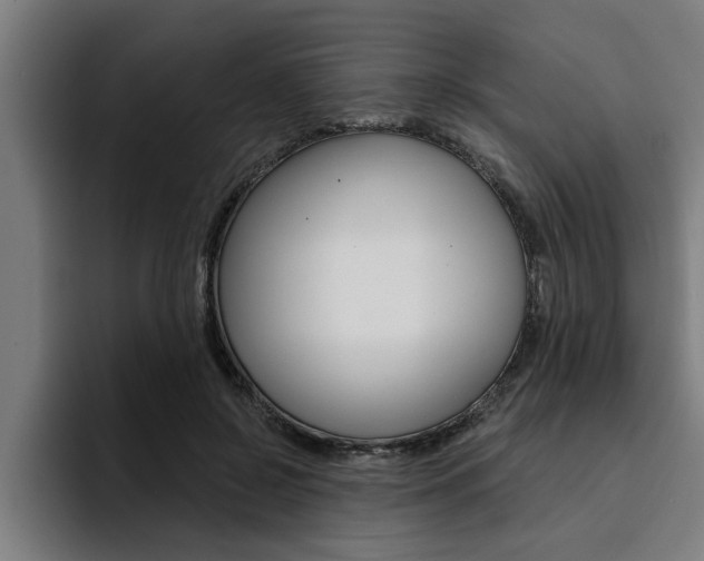 X0000094420550200711081001