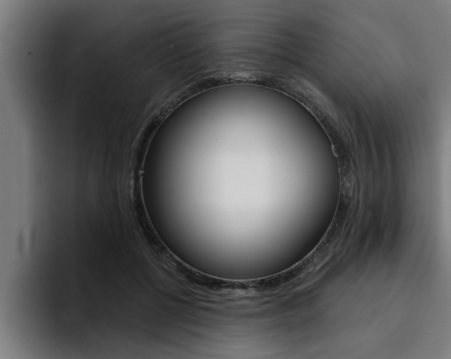 X0000094420552200711081001